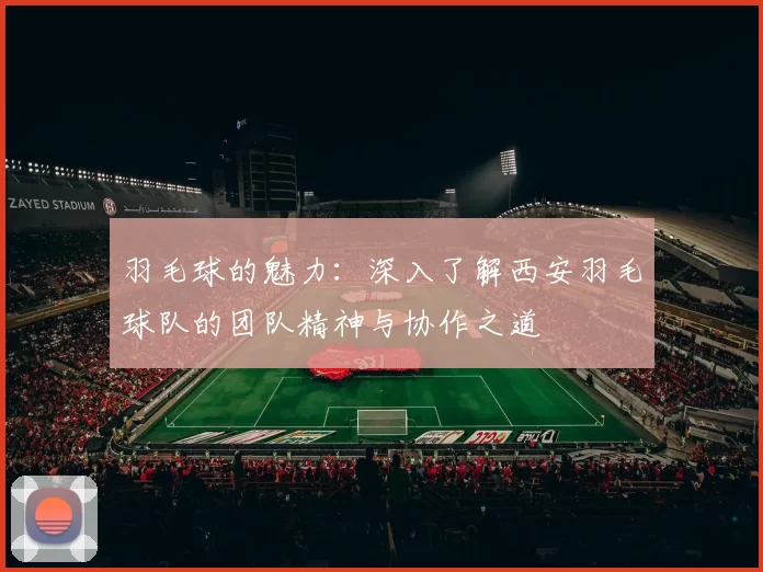 羽毛球的魅力：深入了解西安羽毛球队的团队精神与协作之道