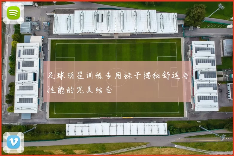足球明星训练专用袜子揭秘舒适与性能的完美结合