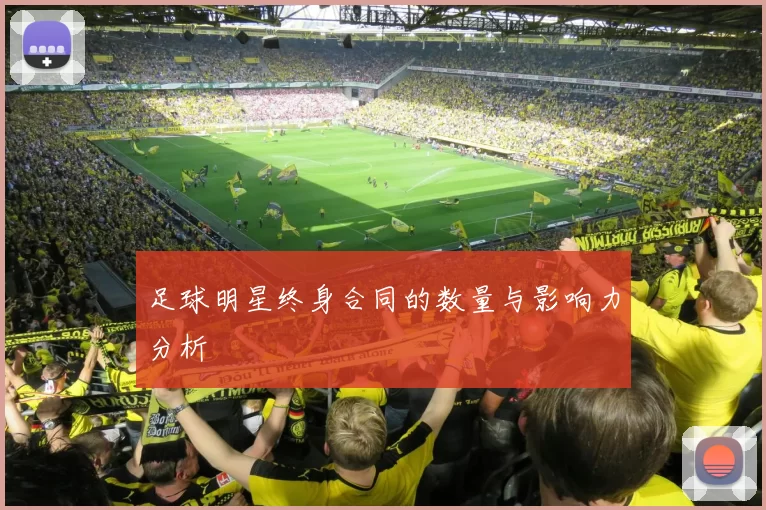 足球明星终身合同的数量与影响力分析