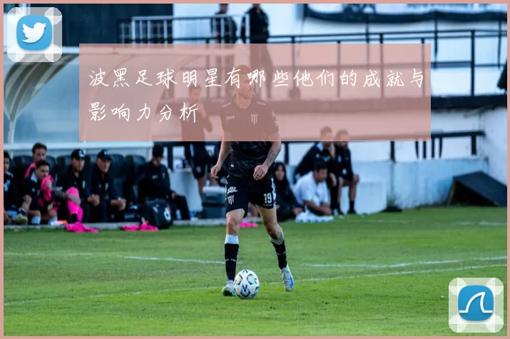 波黑足球明星有哪些他们的成就与影响力分析