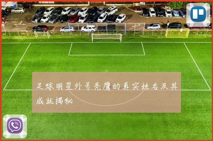 足球明星外号秃鹰的真实姓名及其成就揭秘