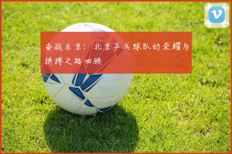 奋战东京：北京乒乓球队的荣耀与拼搏之路回顾