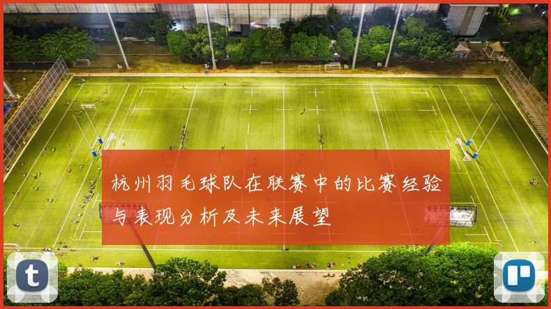 杭州羽毛球队在联赛中的比赛经验与表现分析及未来展望